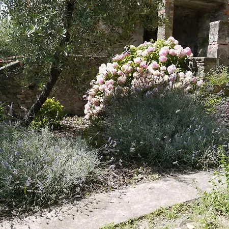 Villa Piscina Con Vista