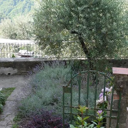 Piscina Con Vista Villa *